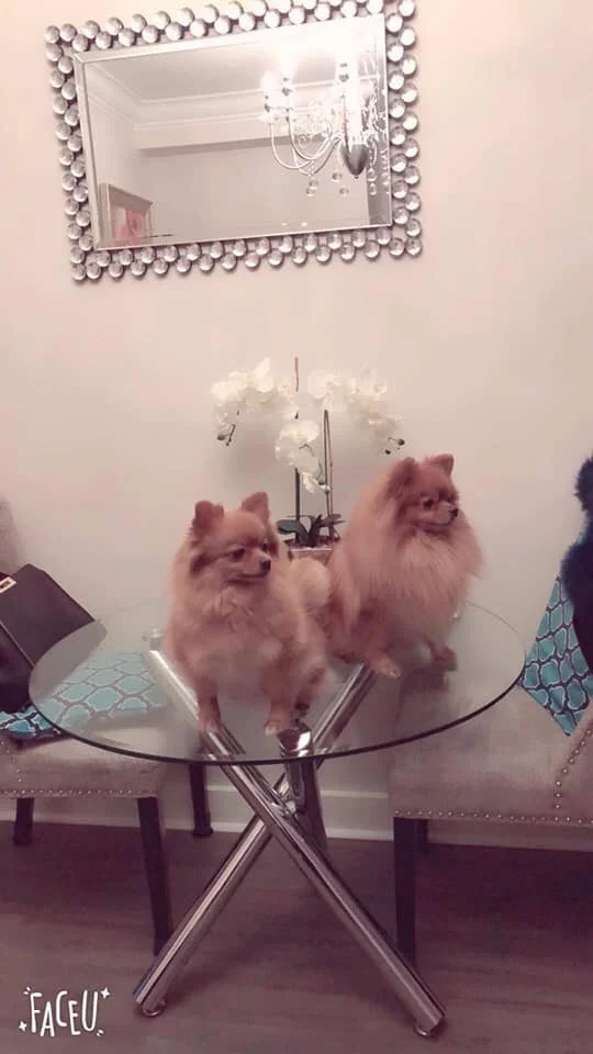 COURTESY POST - LOST VANCOUVER BC - JUNE 17, 2020