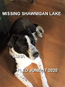 HAPPY ENDINGS - SHAWNIGAN LAKE BC - JUNE 17, 2020