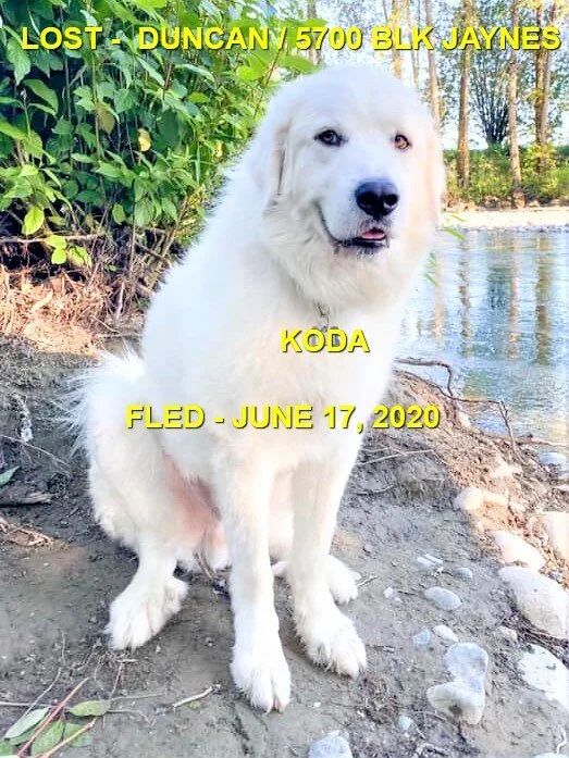 HAPPY ENDINGS - DUNCAN BC - JUNE 17, 2020