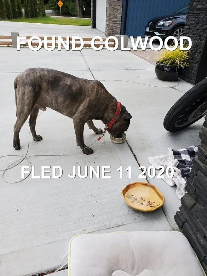 HAPPY ENDINGS - COLWOOD BC - JUNE 11, 2020