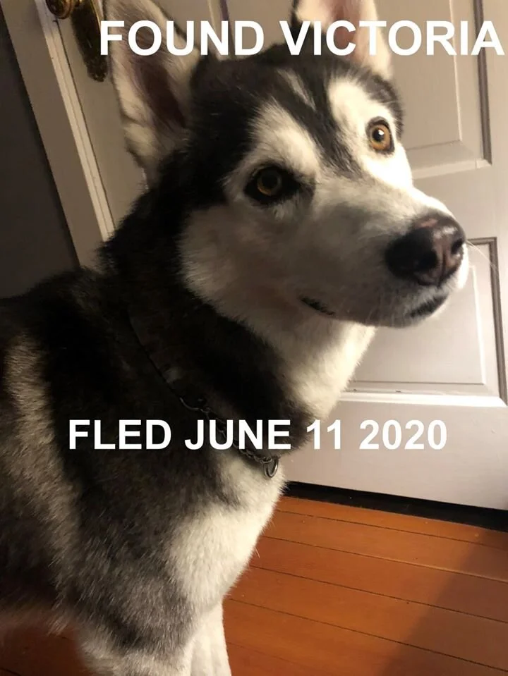 HAPPY ENDINGS - VICTORIA BC -JUNE 10, 2020