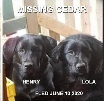 HAPPY ENDINGS - CEDAR / NANAIMO BC - JUNE 10, 2020