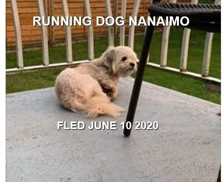 UNRESOLVED - NANAIMO BC - JUNE 10, 2020