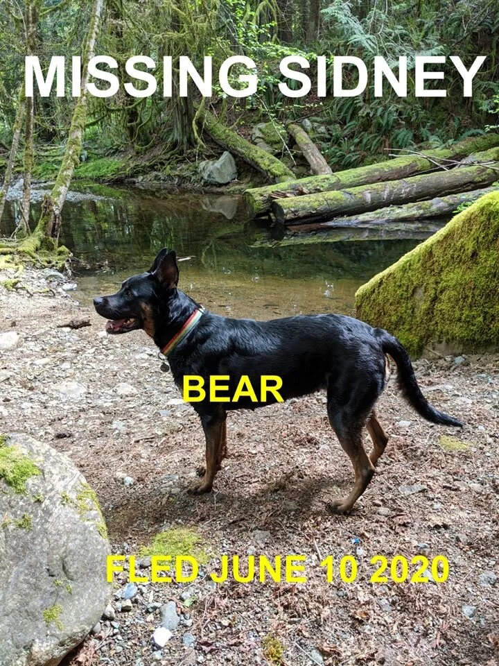 HAPPY ENDINGS - SIDNEY BC - JUNE 10, 2020