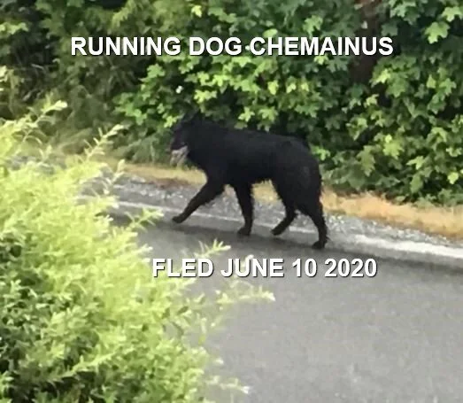 HAPPY ENDINGS - CHEMAINUS BC - JUNE 9, 2020