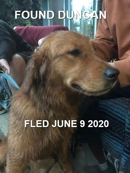 HAPPY ENDINGS - DUNCAN BC - JUNE 9, 2020