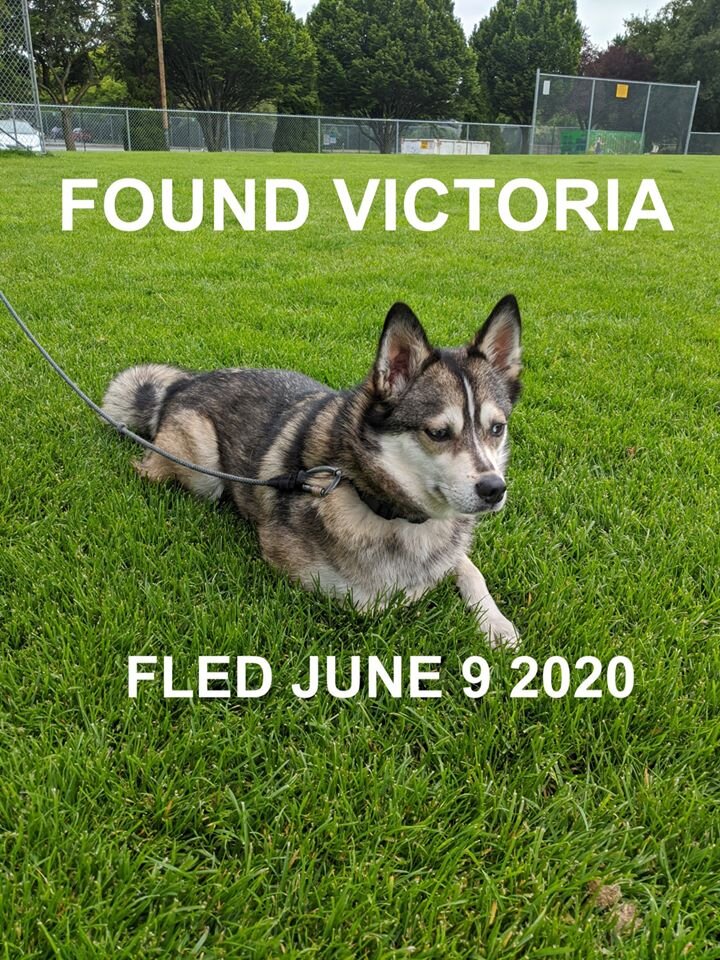 HAPPY ENDINGS - VICTORIA BC - JUNE 9, 2020