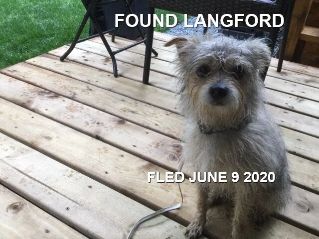 HAPPY ENDINGS - LANGFORD BC - JUNE 9, 2020