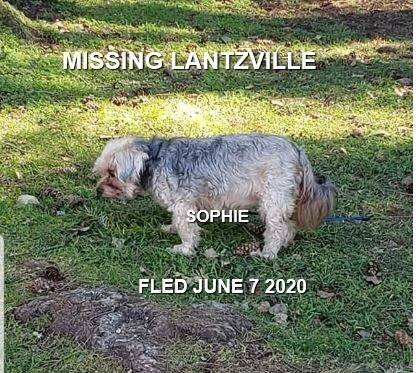 HAPPY ENDINGS - LANTZVILLE BC - JUNE 6, 2020