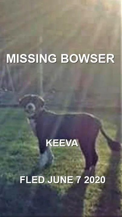 HAPPY ENDINGS - BOWSER BC - JUNE 7, 2020