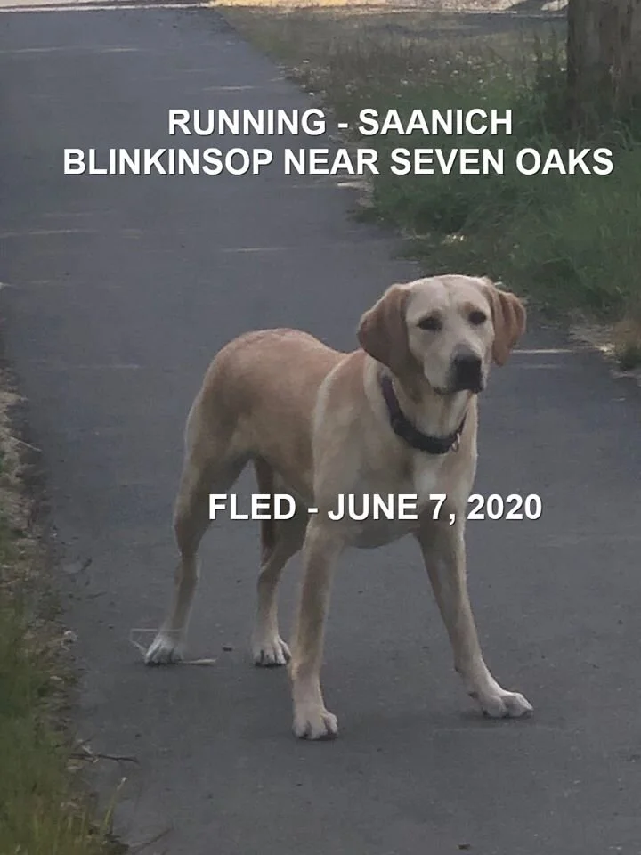 UNRESOLVED - SAANICH BC - JUNE 7, 2020