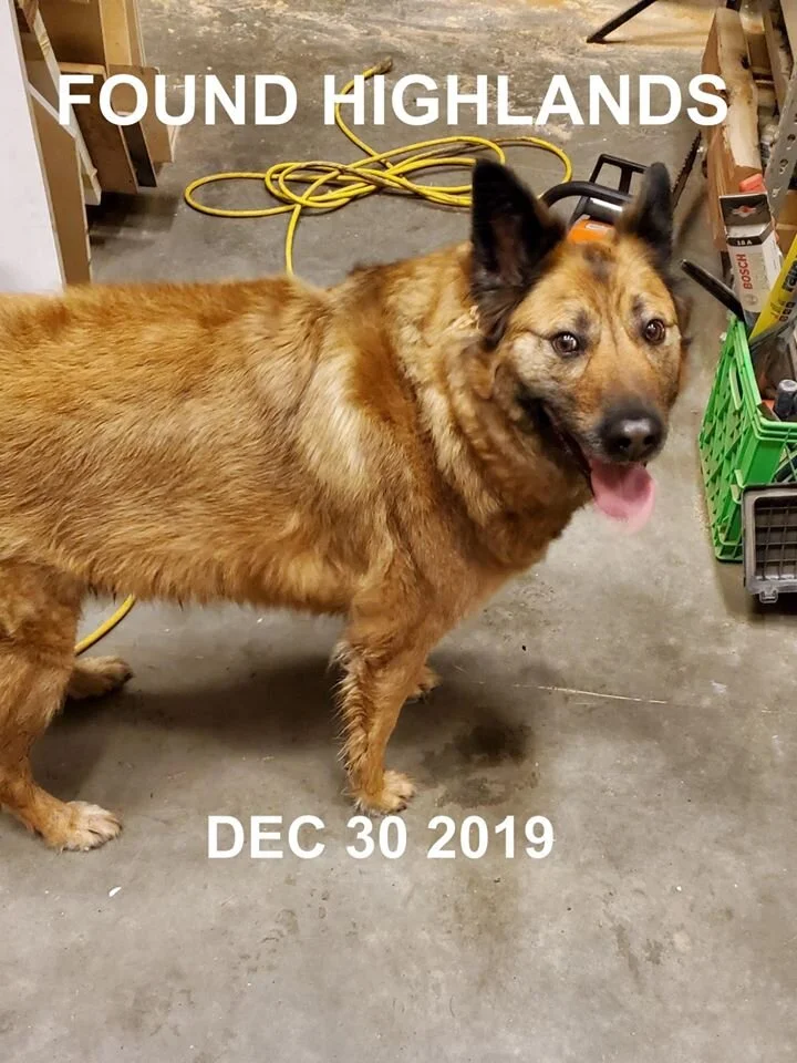 HAPPY ENDINGS - HIGHLANDS BC - DEC. 30, 2019