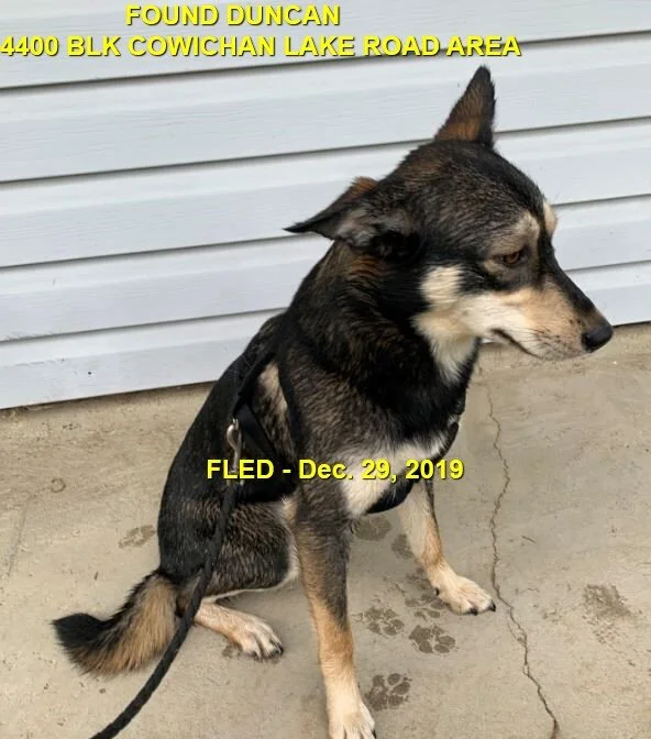 HAPPY ENDINGS - DUNCAN BC - DEC. 29, 2019