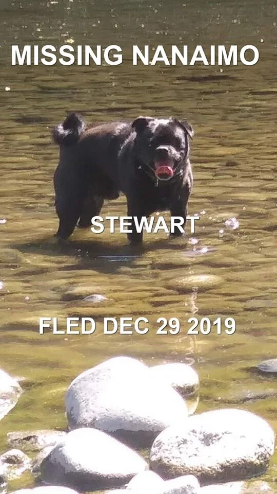 HAPPY ENDINGS - NANAIMO BC - DEC. 29, 2019