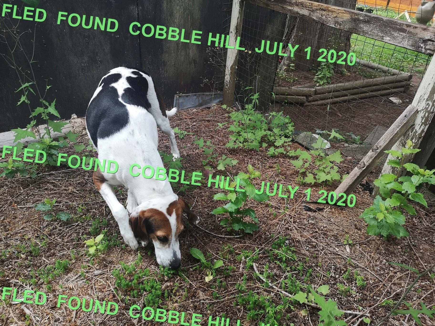 HAPPY ENDINGS - COBBLE HILL - JULY 1, 2020