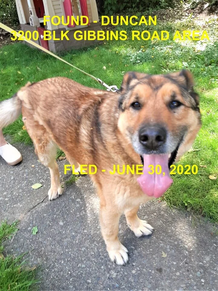 HAPPY ENDINGS - DUNCAN BC - JUNE 30, 2020