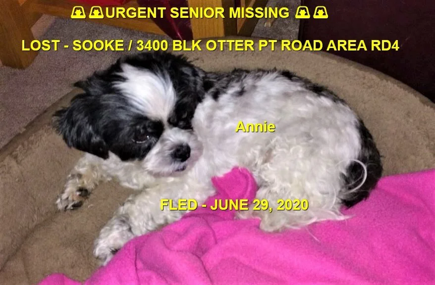 HAPPY ENDING - SENIOR - SOOKE BC - JUNE 29, 2020