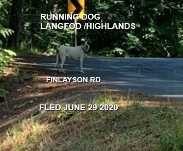 HAPPY ENDINGS - HIGHLANDS BC - JUNE 29, 2020