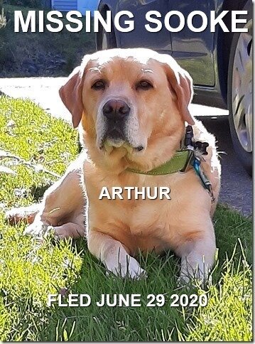 HAPPY ENDINGS - SOOKE BC - JUNE 29, 2020