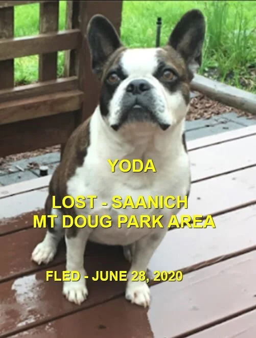 HAPPY ENDINGS - SAANICH BC - JUNE 28, 2020