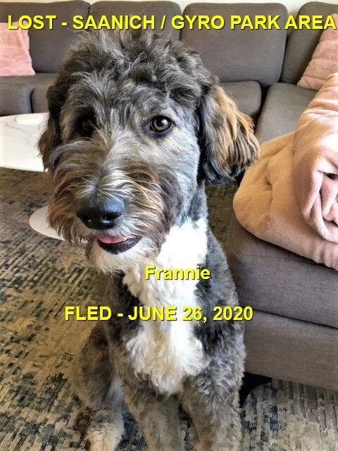 HAPPY ENDINGS - SAANICH BC - JUNE 26, 2020