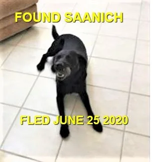 HAPPY ENDINGS - SAANICH BC - JUNE 25, 2020