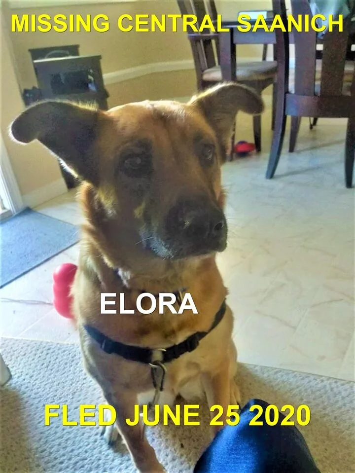 HAPPY ENDINGS - CENTRAL SAANICH BC - JUNE 25, 2020