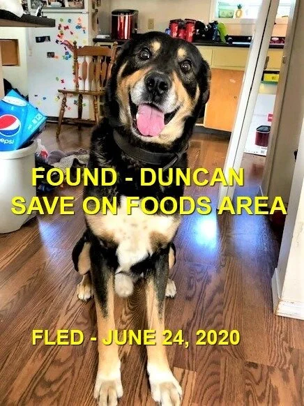 HAPPY ENDINGS - DUNCAN BC - JUNE 24, 2020