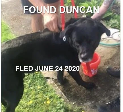 HAPPY ENDINGS - DUNCAN BC - JUNE 24, 2020