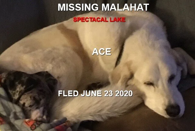 HAPPY ENDINGS - MALAHAT BC - JUNE 23, 2020