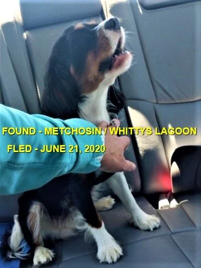 HAPPY ENDINGS - METCHOSIN BC - JUNE 21, 2020