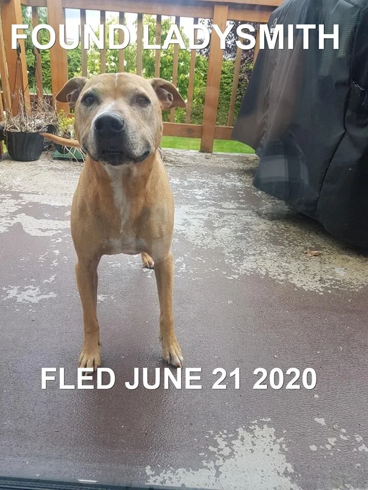 HAPPY ENDINGS - LADYSMITH BC - JUNE 21, 2020