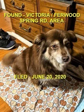 HAPPY ENDINGS - VICTORIA BC - JUNE 20, 2020