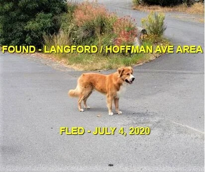 HAPPY ENDINGS - LANGFORD BC - JULY 4, 2020