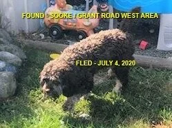 HAPPY ENDINGS - SOOKE BC - JULY 4, 2020