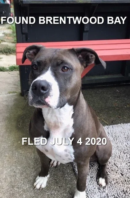 HAPPY ENDINGS - BRENTWOOD BAY BC - JULY 4, 2020