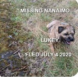 HAPPY ENDINGS - NANAIMO BC - JULY 4, 2020