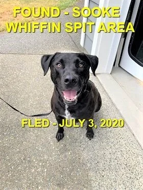 HAPPY ENDINGS - SOOKE BC - JULY 3, 2020