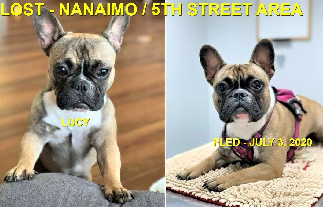 HAPPY ENDINGS - NANAIMO - JULY 3, 2020