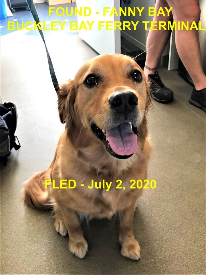 HAPPY ENDINGS - FANNY BAY BC - JULY 2, 2020