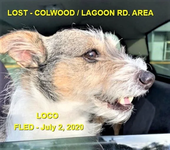 HAPPY ENDINGS - COLWOOD BC - JULY 2, 2020