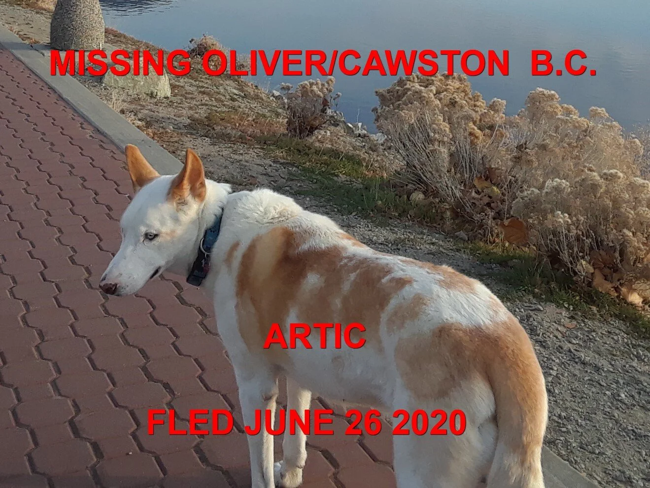 STILL MISSING - OLIVER BC AREA - JUNE 26, 2020