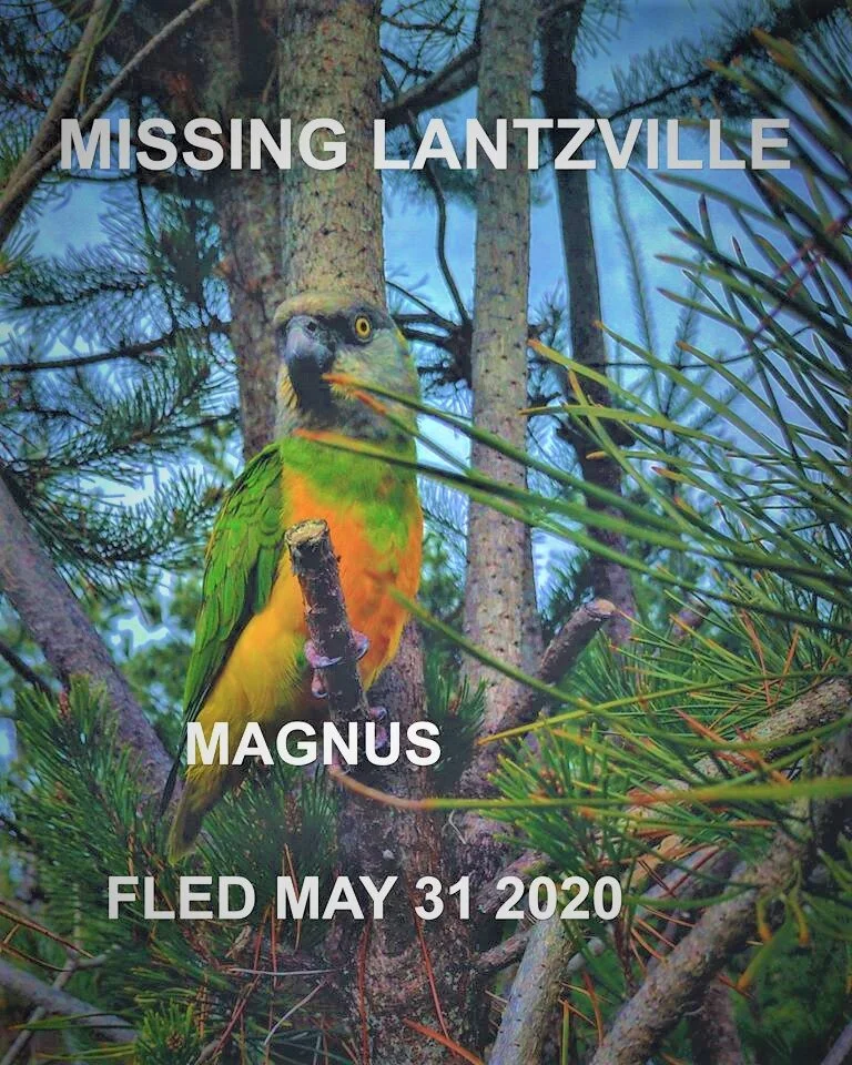 STILL MISSING - LANTZVILLE BC - MAY 28, 2020
