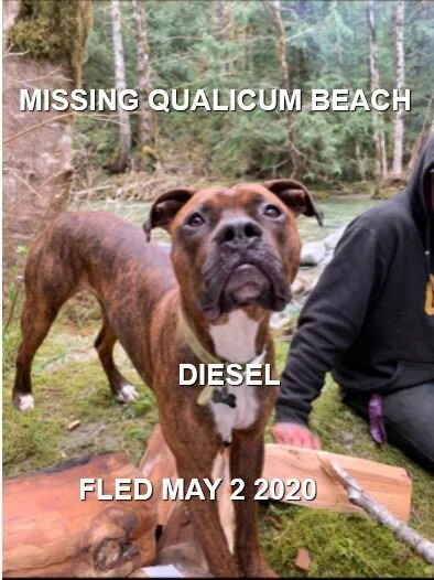 STILL MISSING - QUALICUM BEACH BC - MAY 1, 2020