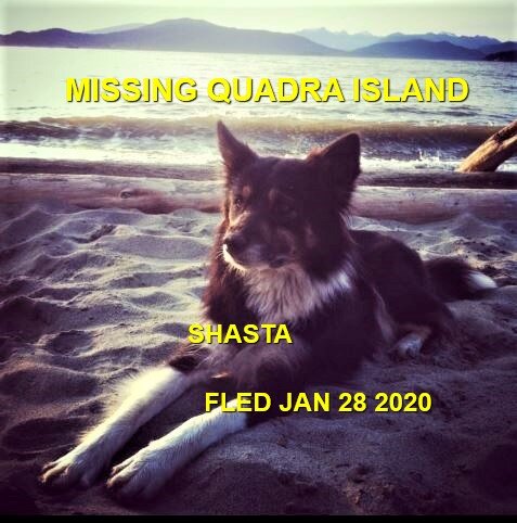 STILL MISSING - QUADRA ISLAND BC - JAN. 25, 2020