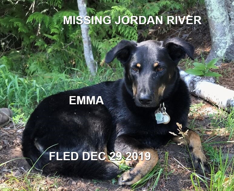 HAPPY ENDINGS - JORDAN RIVER BC - DEC 27, 2019