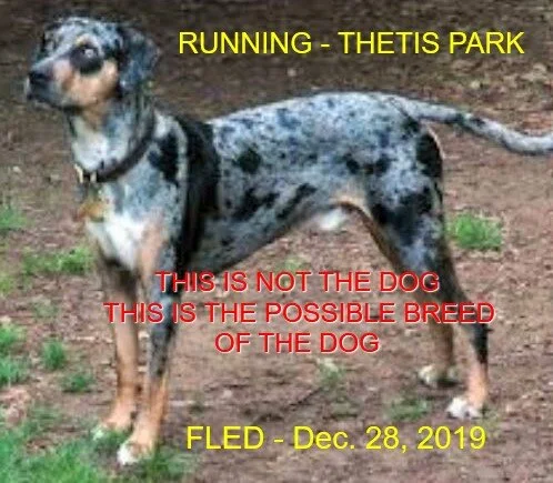 HAPPY ENDINGS - HIGHLANDS BC - DEC 28, 2019