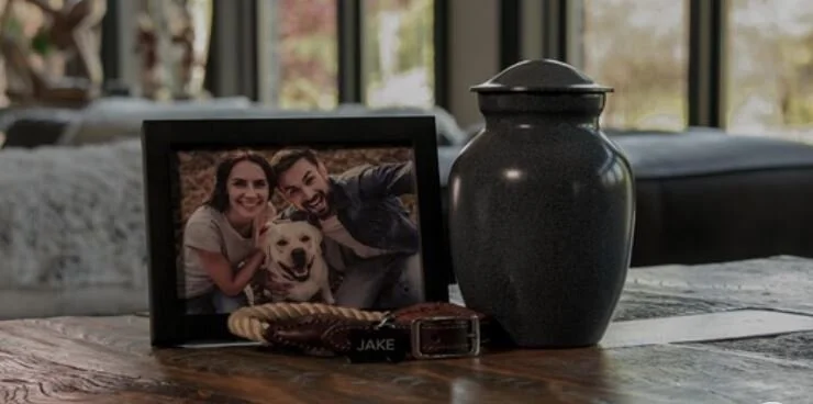 PSA - UNTIL WE MEET AGAIN 