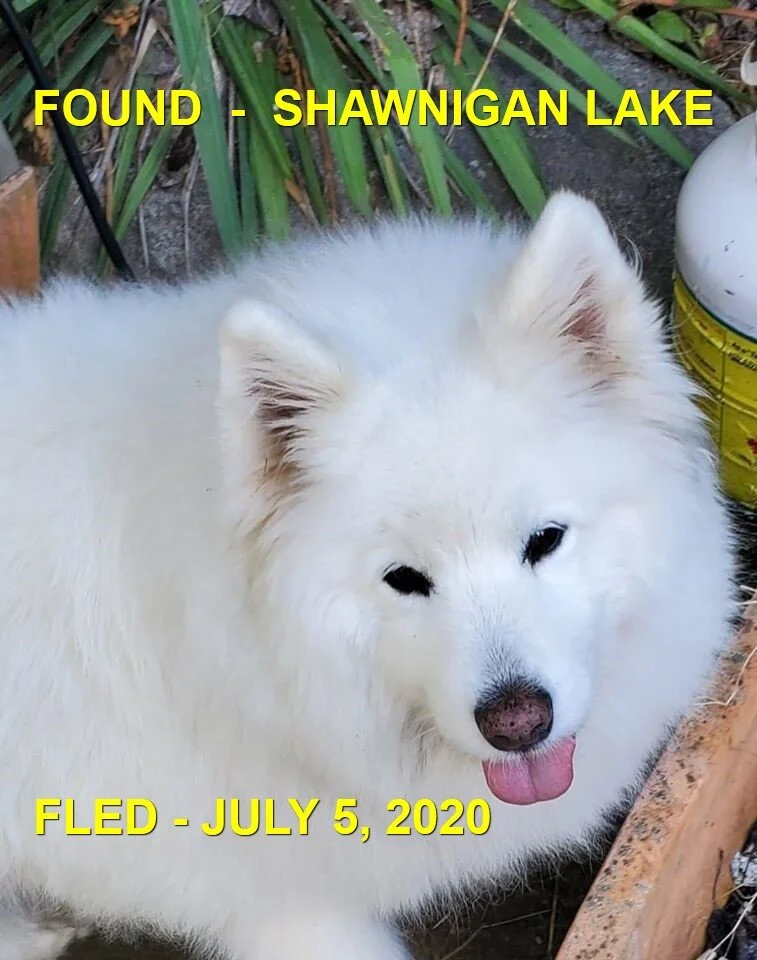 HAPPY ENDINS - SHAWNIGAN LAKE - JULY 5, 2020