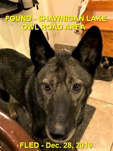 HAPPY ENDINGS - SHAWNIGAN LAKE BC - DEC. 28, 2019